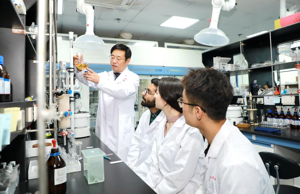 团队教学