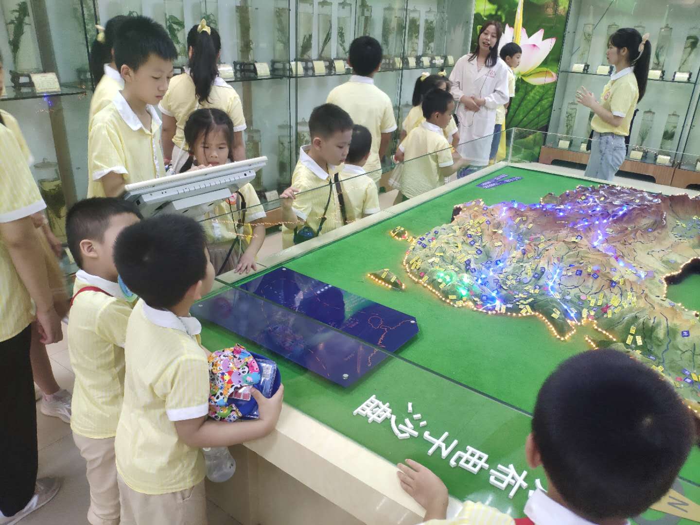 参观标本馆